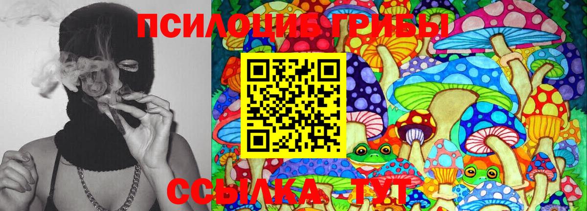 Псилоцибиновые грибы GOLDEN TEACHER  Вход с VPN  купить наркотик  Тольятти 